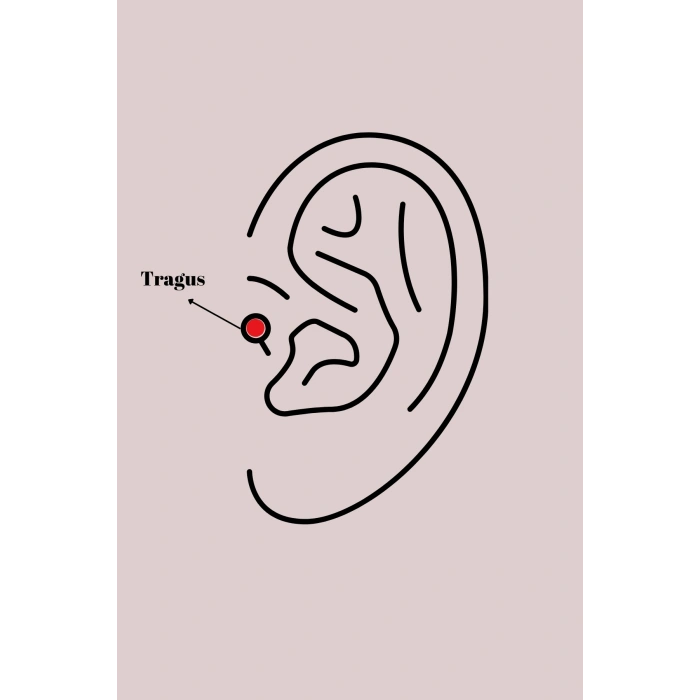 316L Çelik Gümüş Renk Zirkon Taşlı Tragus Piercing 5886