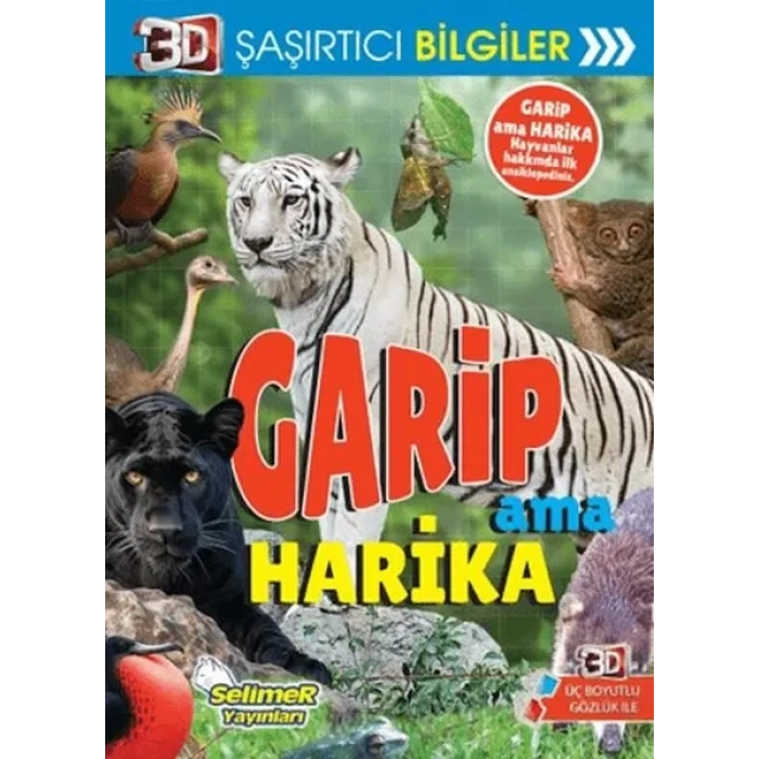 3D Şaşırtıcı Biiler - Garip Ama Harika