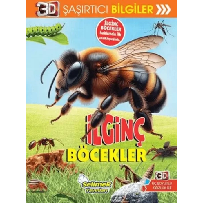 3D Şaşırtıcı Biiler - İinç Böcekler