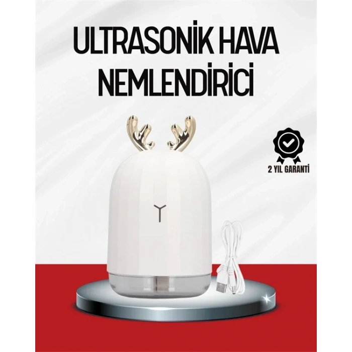 USLUCAN ALIŞVERİŞ El Tipi USB Mini Soğuk Mist Nemlendirici 220 ml Tank
