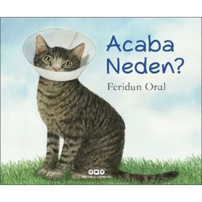 Acaba Neden?