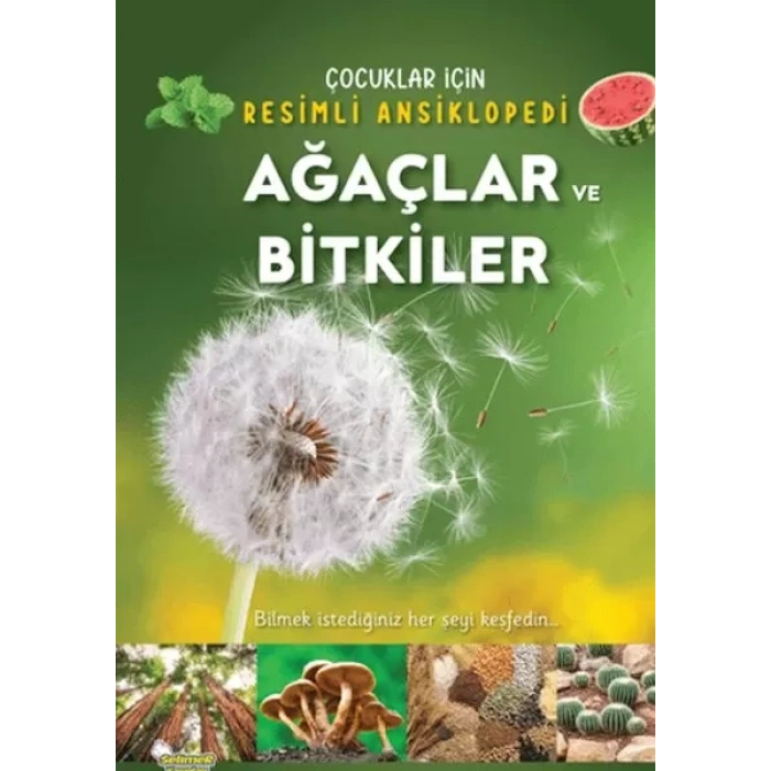 Ağaçlar ve ler