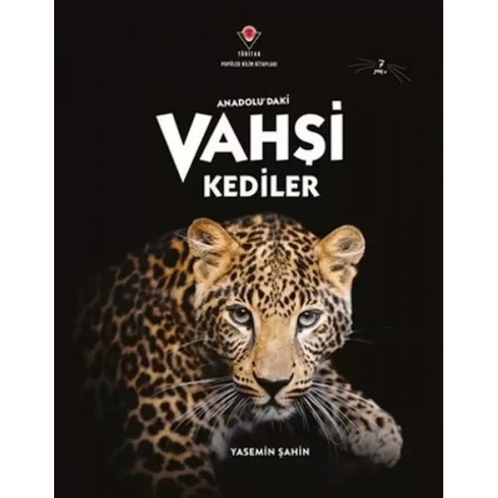AnadoluDaki Vahşi Kediler