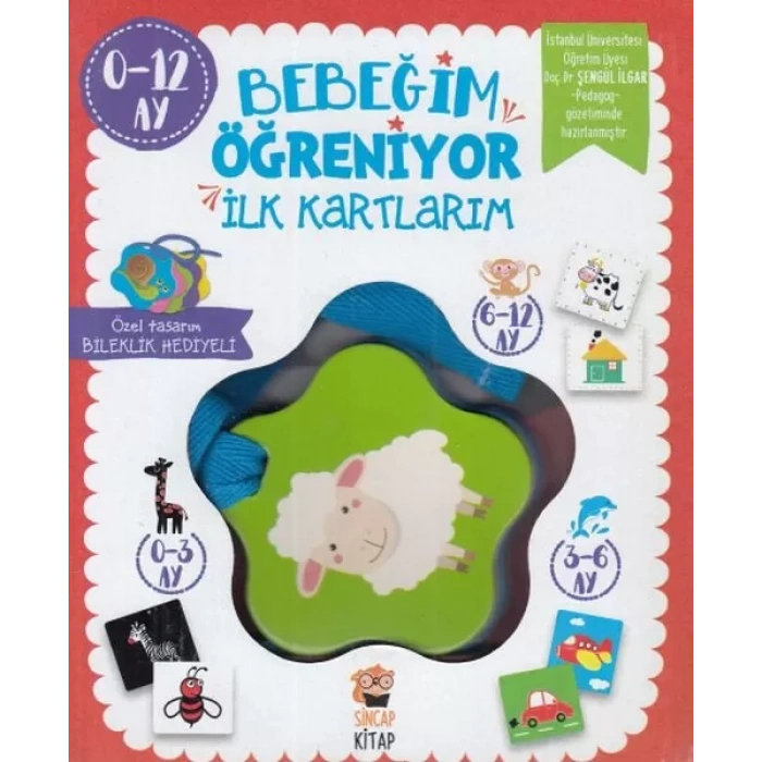 Bebeğim Öğreniyor - İlk Kartlarım (0 - 12 Ay)