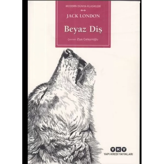 Beyaz Diş