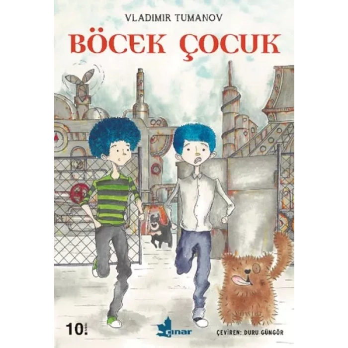Böcek Çuk