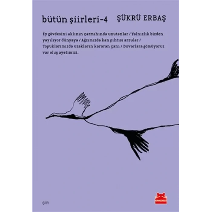 Bütün Şiirleri 4