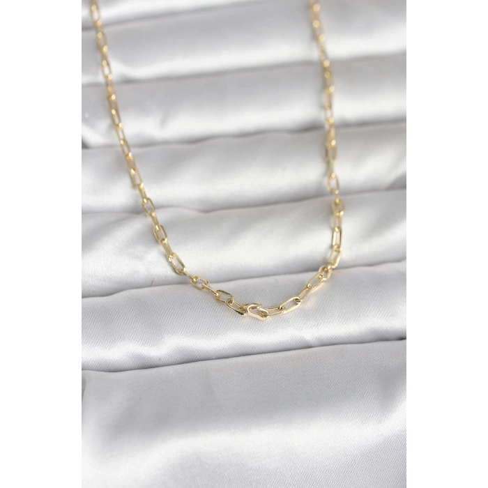 CM 14K Gold Renk Ataç Zincir Model 60 cm Kadın Kolye 5886