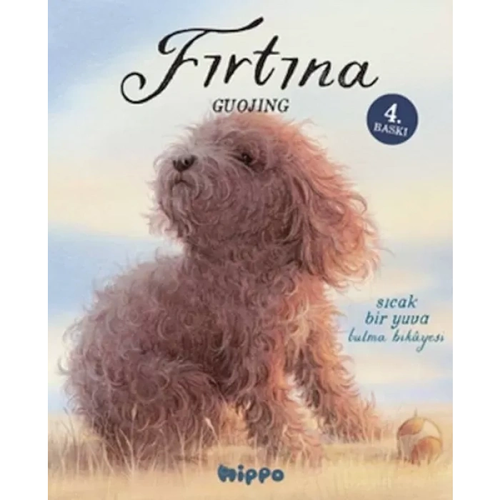 Fırtına