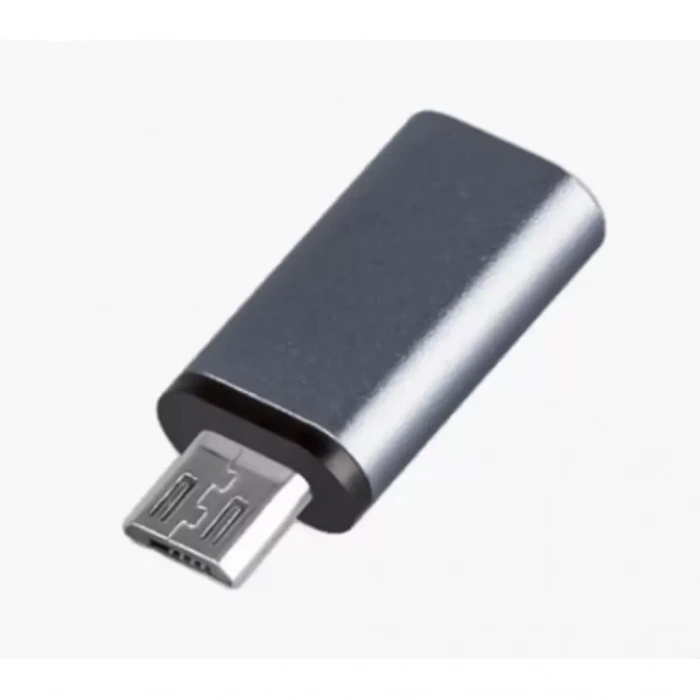 FT Ada22 Type-C To Micro Çevirici Mini Adaptör ZR352