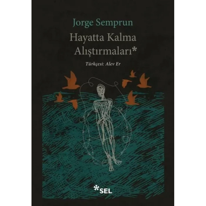 Hayatta Kalma Alıştırmaları