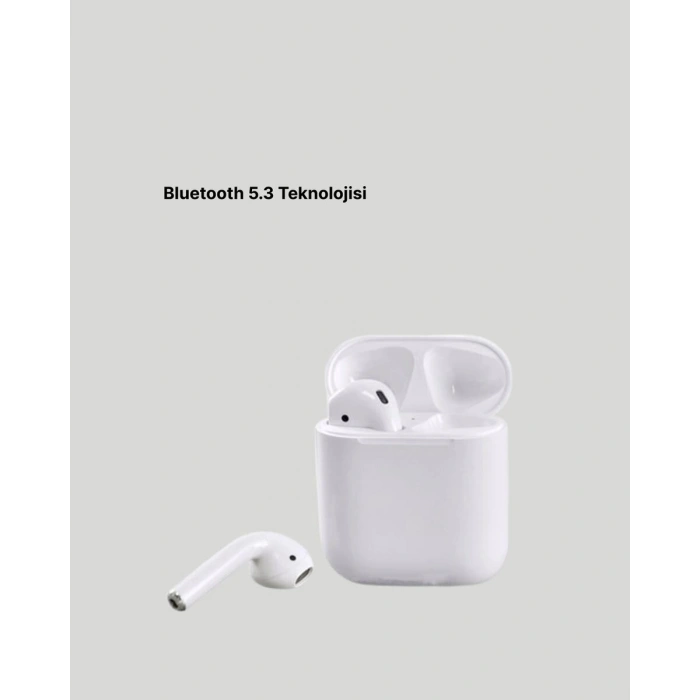 Hızlı Şarj Destekli 2. Nesil Bluetooth 5.0 Ergonomik Kulaklık