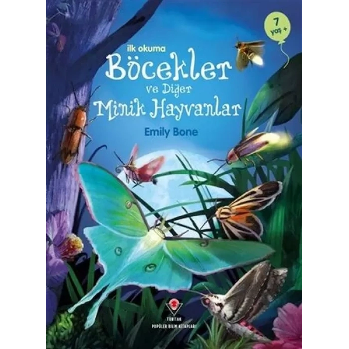 İlk Okuma - Böcekler ve  Minik Hayvanlar