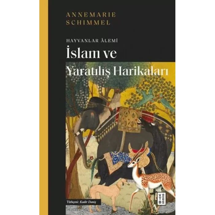 İslam ve tılış Harikaları