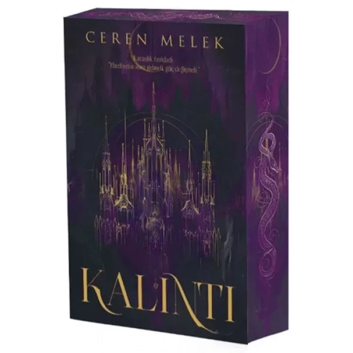 Kalıntı