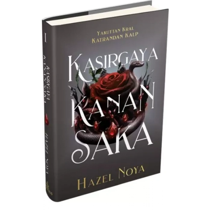 Kasırgaya Kanan Saka 1 (Ciltli)