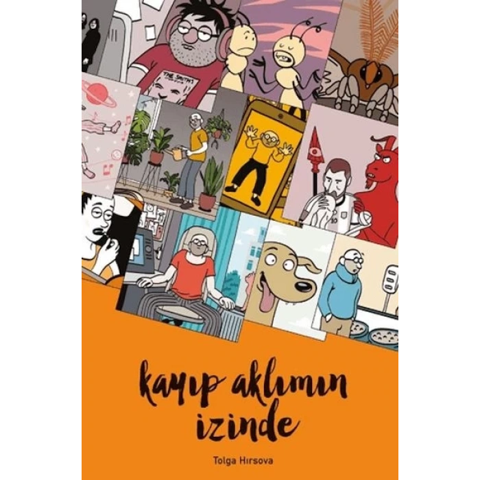 Kayıp Aklımın İzinde
