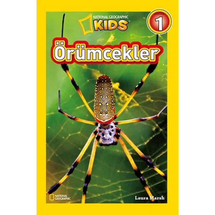 Kids - Örümcekler