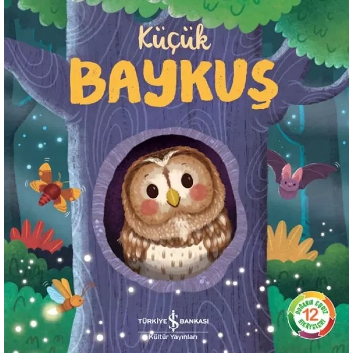 Küçük Baykuş - Doğanın Eşsiz Hikayeleri 12