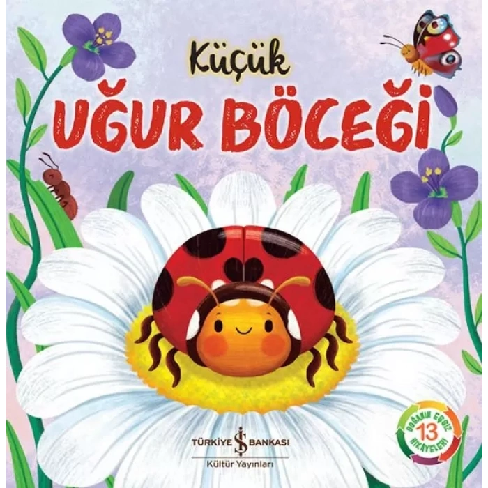 Küçük Uğur Böceği - Doğanın Eşsiz Hikayeleri 13