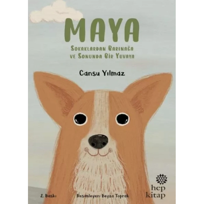 Maya - Sokaklardan Barınağa ve Sonunda Bir Yuvaya