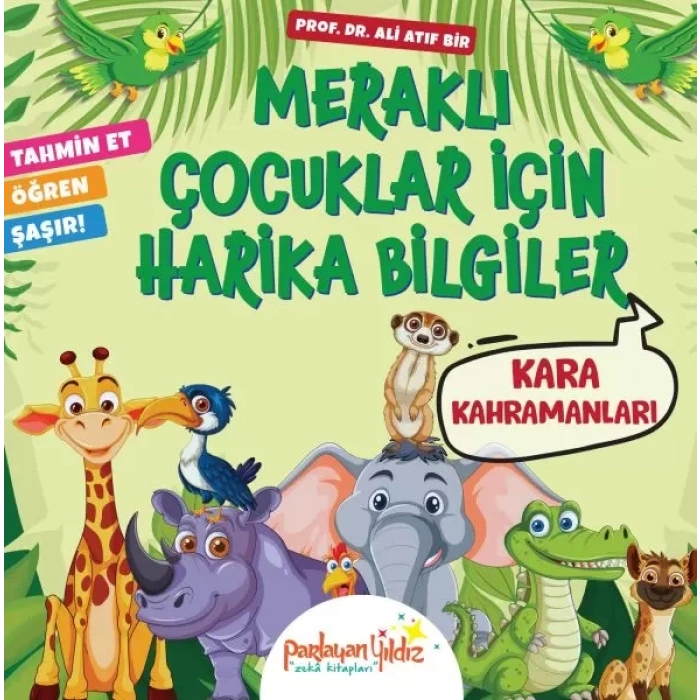Meraklı Çuklar İçin Harika Biiler Kara Kahramanları