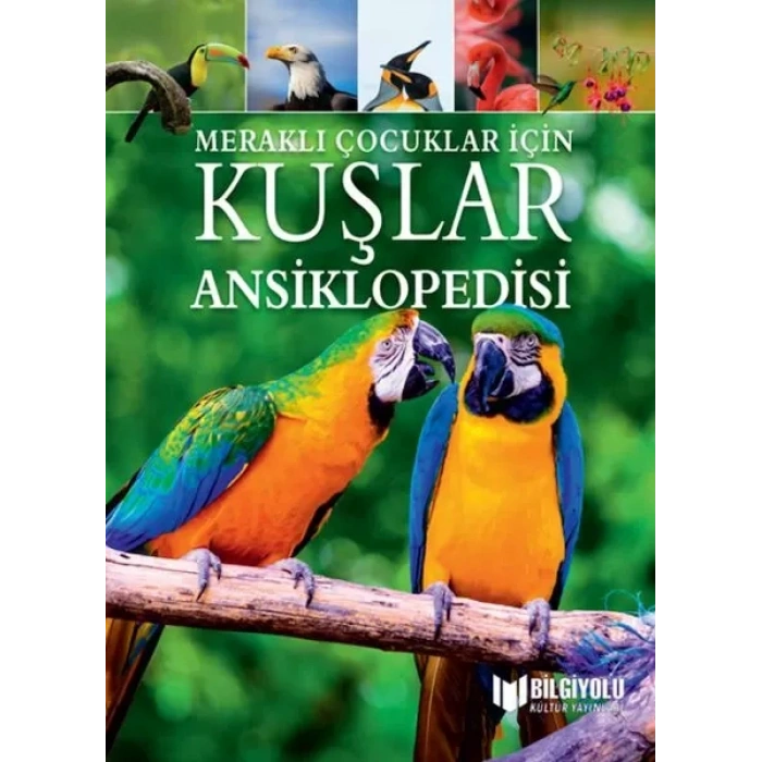 Meraklı Çuklar İçin Kuşlar Ansiklopedisi