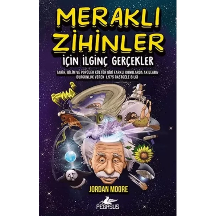 Meraklı Zihinler İçin İinç Gerçekler