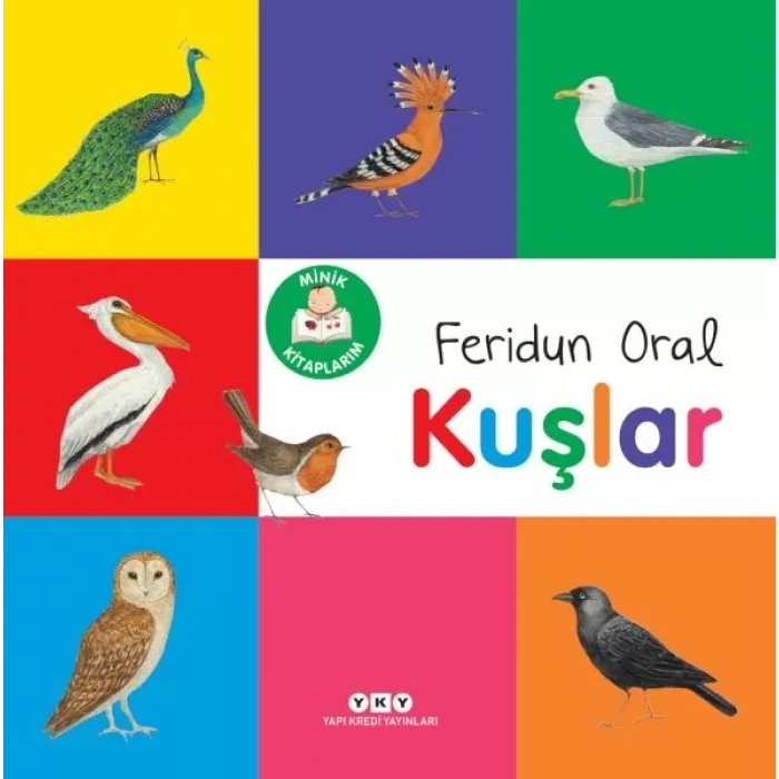 Minik larım – Kuşlar