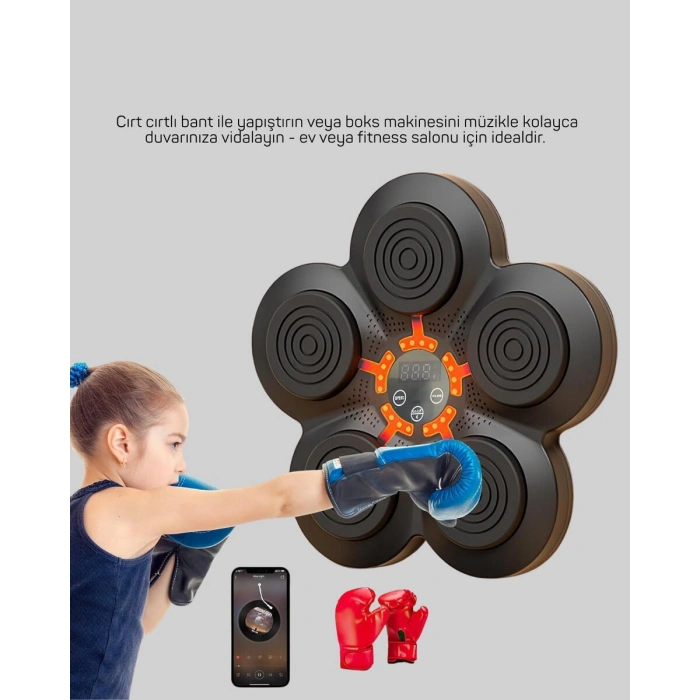 Müzikli Boks Duvar Paneli Akıllı Işık Sistemli Refleks ve Kondisyon Aleti