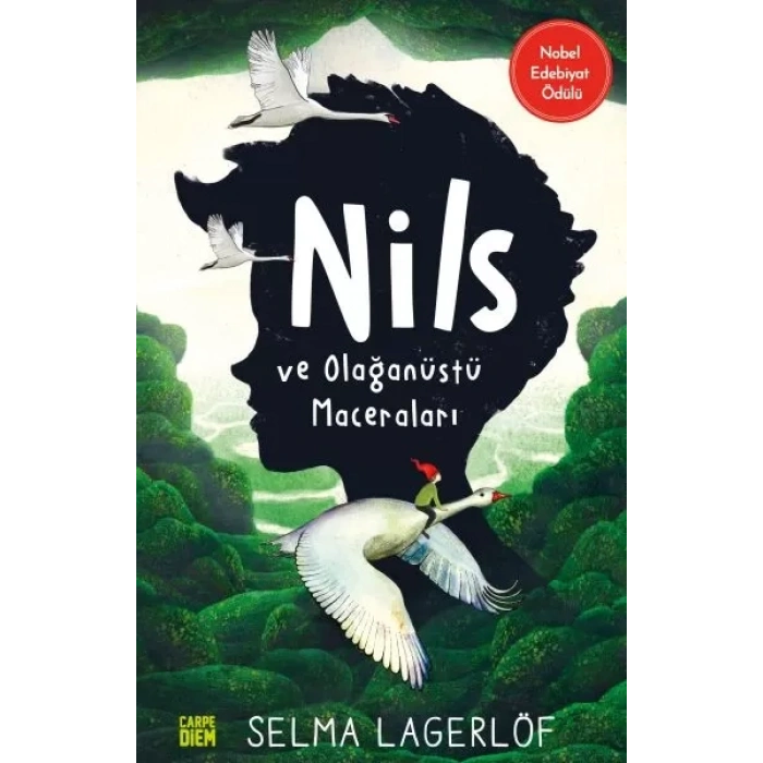 Nils ve Olağtü Maceraları