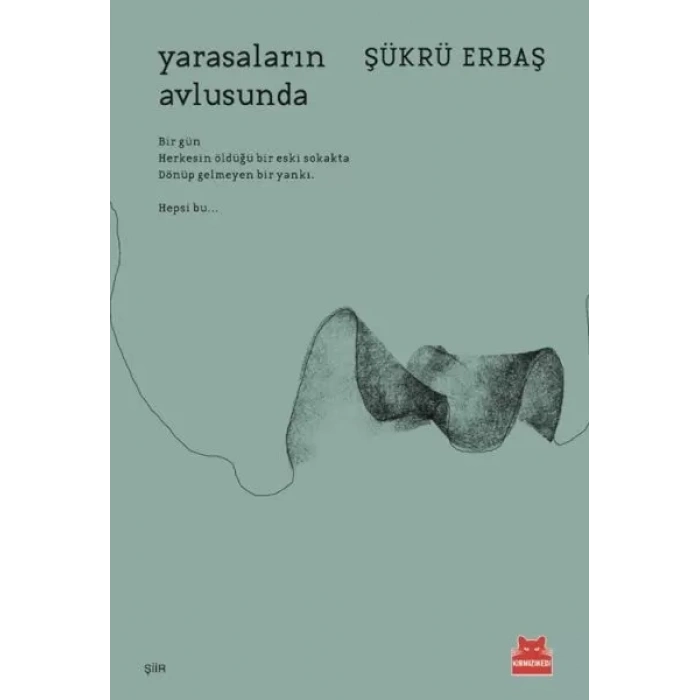 saların lusunda