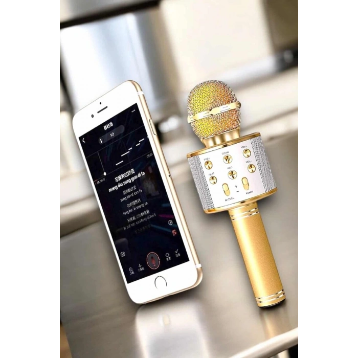 Şarjlı ve Uzun Pil Ömürlü Karaoke Mikrofon USB Bellek Destekli Profesyonel Ses