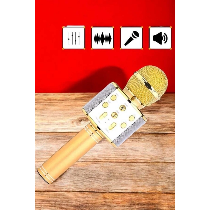 Şarjlı ve Uzun Pil Ömürlü Karaoke Mikrofon USB Bellek Destekli Profesyonel Ses