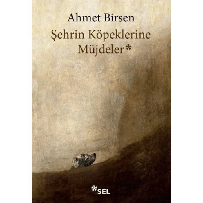 Şehrin Köpeklerine Müjdeler