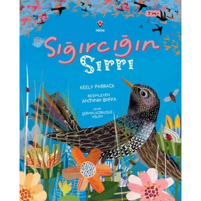 Sığırcığın Sırrı