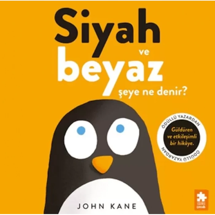 Siyah ve Beyaz Şeye Ne Denir?