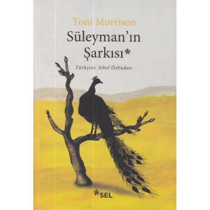 Süleyman’ın Şarkısı