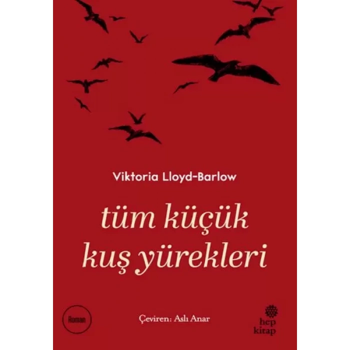 Tüm Küçük Kuş Yürekleri