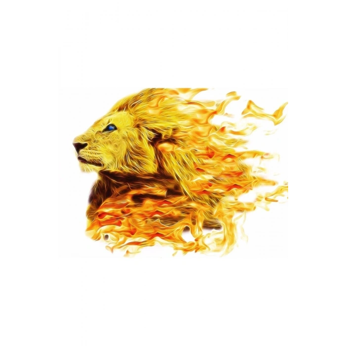 USLUCAN ALIŞVERİŞ Aslan Kral Canvas Tablo (50x70)