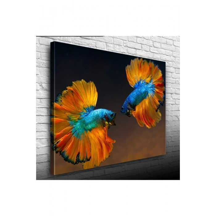 USLUCAN ALIŞVERİŞ Beta Balıkları Canvas Tablo (50x70)