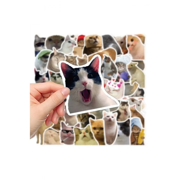 USLUCAN ALIŞVERİŞ Çılgın Kediler Macbook Notebook Tablet Telefon Ajanda Laptop Defter Sticker Seti