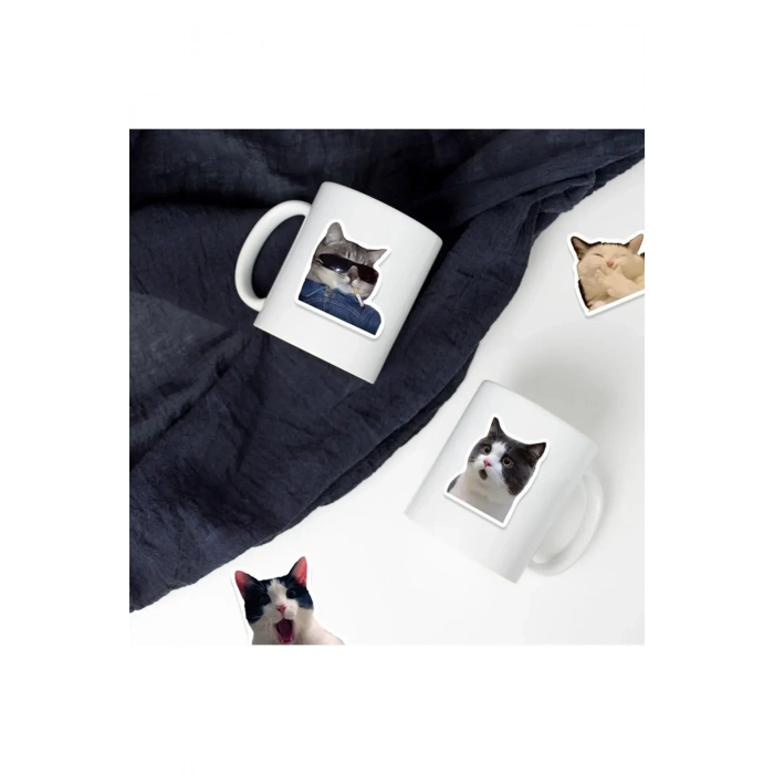 USLUCAN ALIŞVERİŞ Çılgın Kediler Macbook Notebook Tablet Telefon Ajanda Laptop Defter Sticker Seti