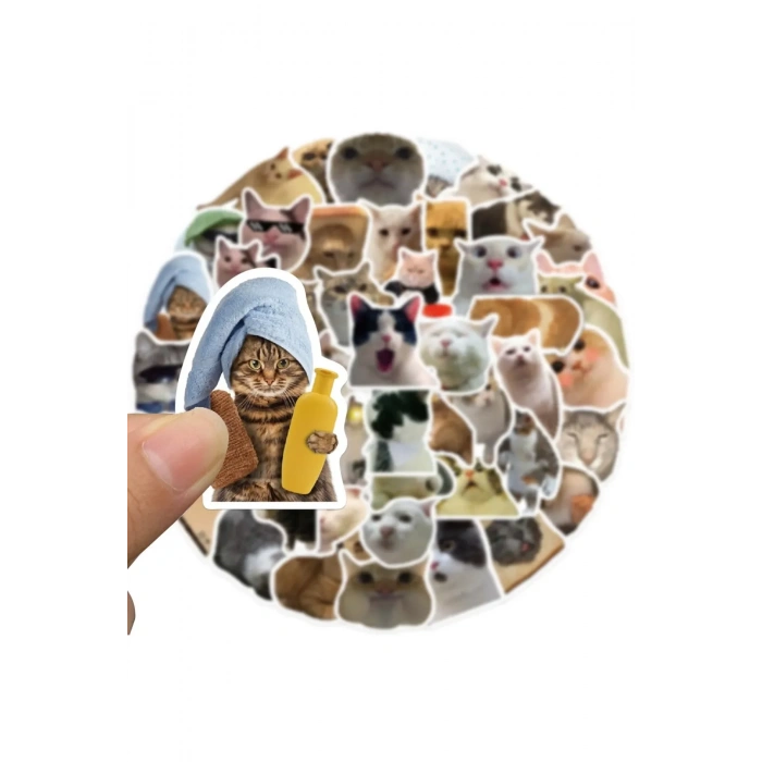 USLUCAN ALIŞVERİŞ Çılgın Kediler Macbook Notebook Tablet Telefon Ajanda Laptop Defter Sticker Seti