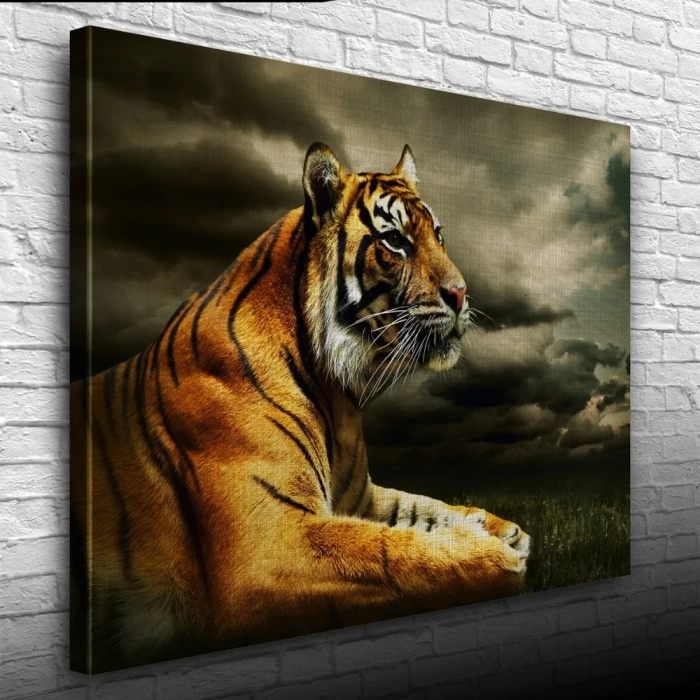 USLUCAN ALIŞVERİŞ Çimenlerde Uzanan Kaplan Kanvas Tablo 50 x 70