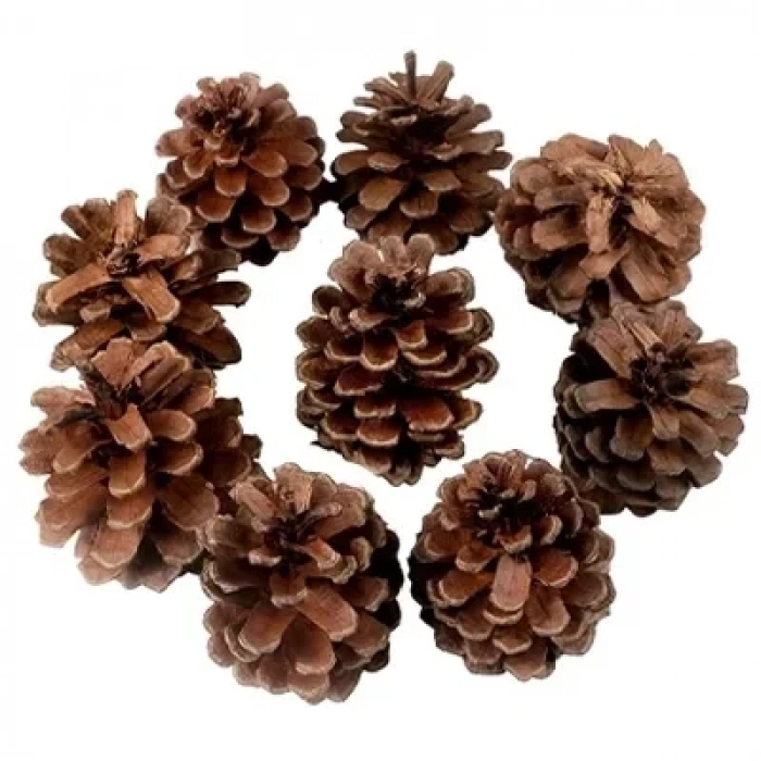 USLUCAN ALIŞVERİŞ Dekoratif Çam Kozalak Süs - 250gr -