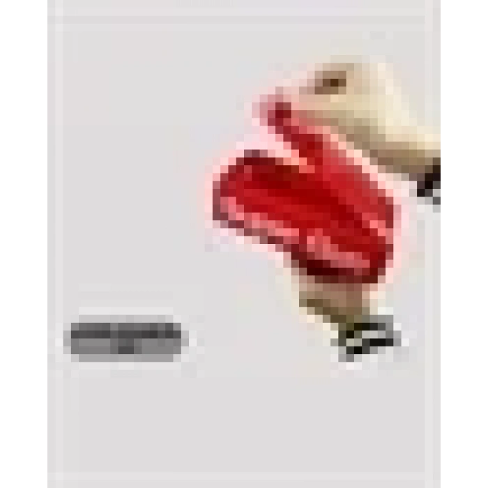 USLUCAN ALIŞVERİŞ Elektrikli Parti Oyuncağı – Para Atan Tabanca