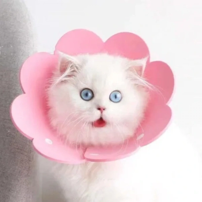 USLUCAN ALIŞVERİŞ Evcil Hayvan XL Boy Keçe Elizabeth Yakalığı