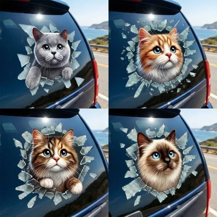 USLUCAN ALIŞVERİŞ Fulcar Kedi Tasarımlı Araç Stickerı