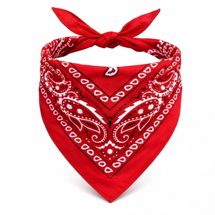 USLUCAN ALIŞVERİŞ Kırmızı Kovboy Fuları Çocuk Bandana